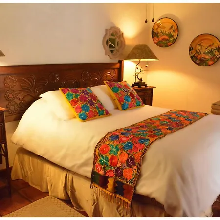 Collection O Casa Bella Hotel Boutique, Cabo San Lucas